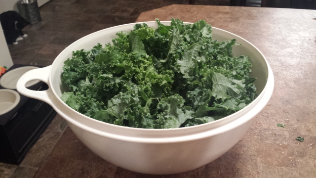 Massaged Kale was sooo good at that retreat I went to.